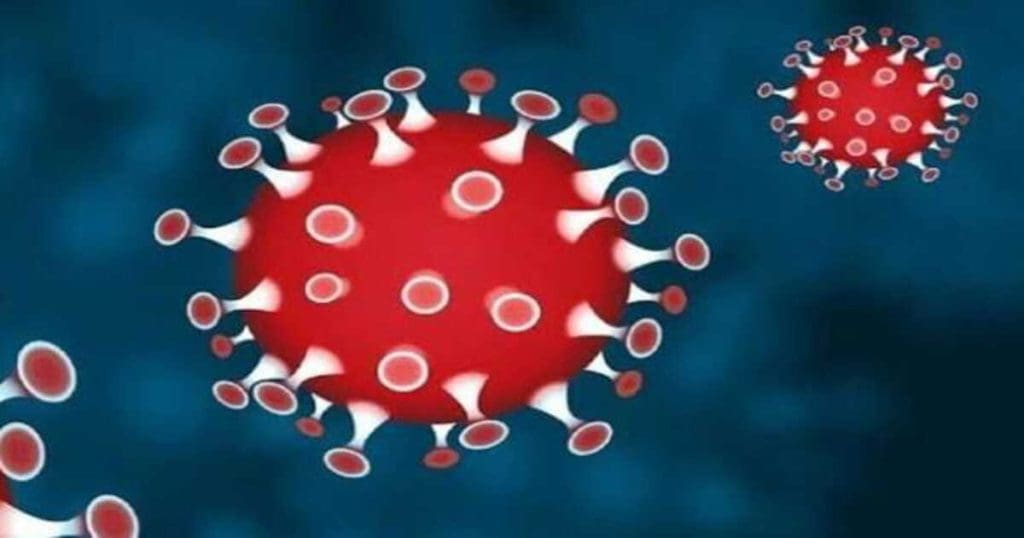Coronavirus JN 1 Variant