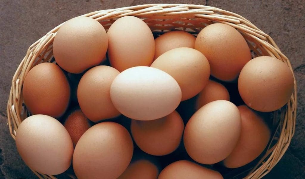 Egg testing