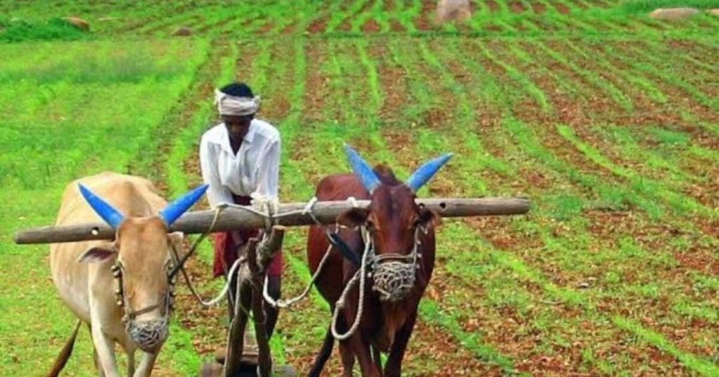 Agriculture Budget 2024