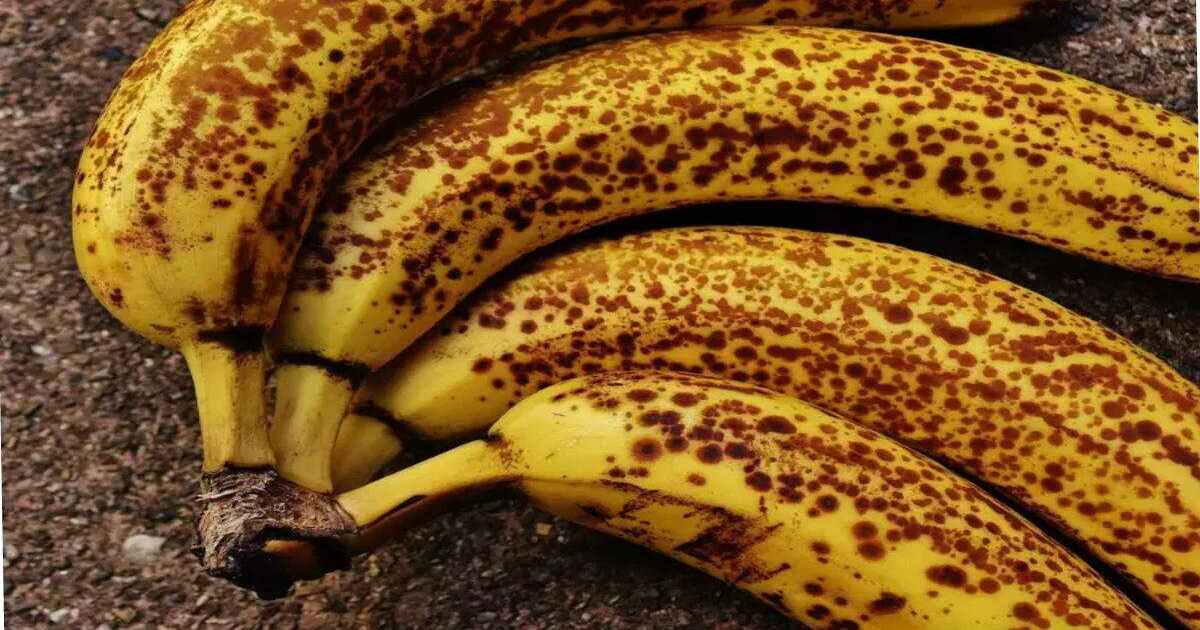 Protection of banana