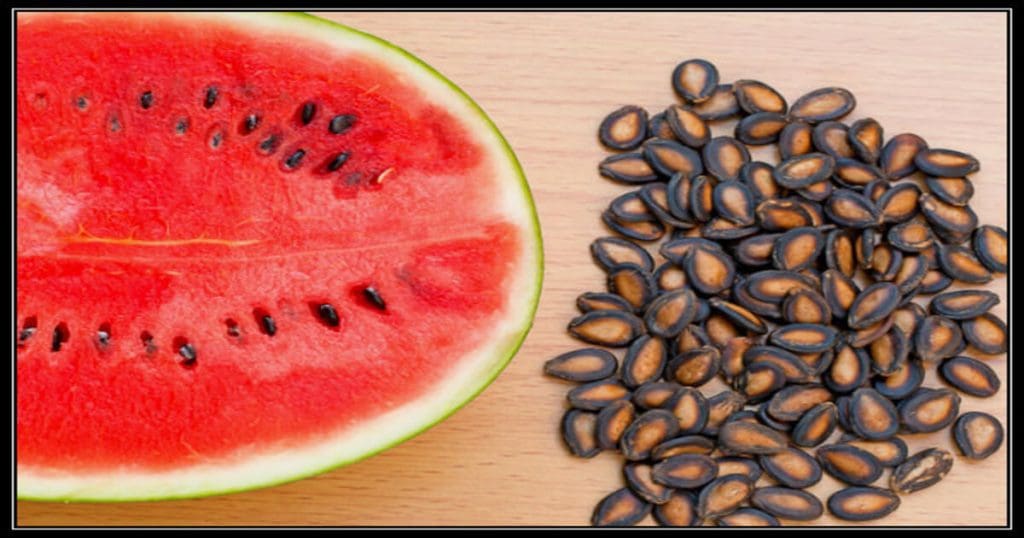 Watermelon seed