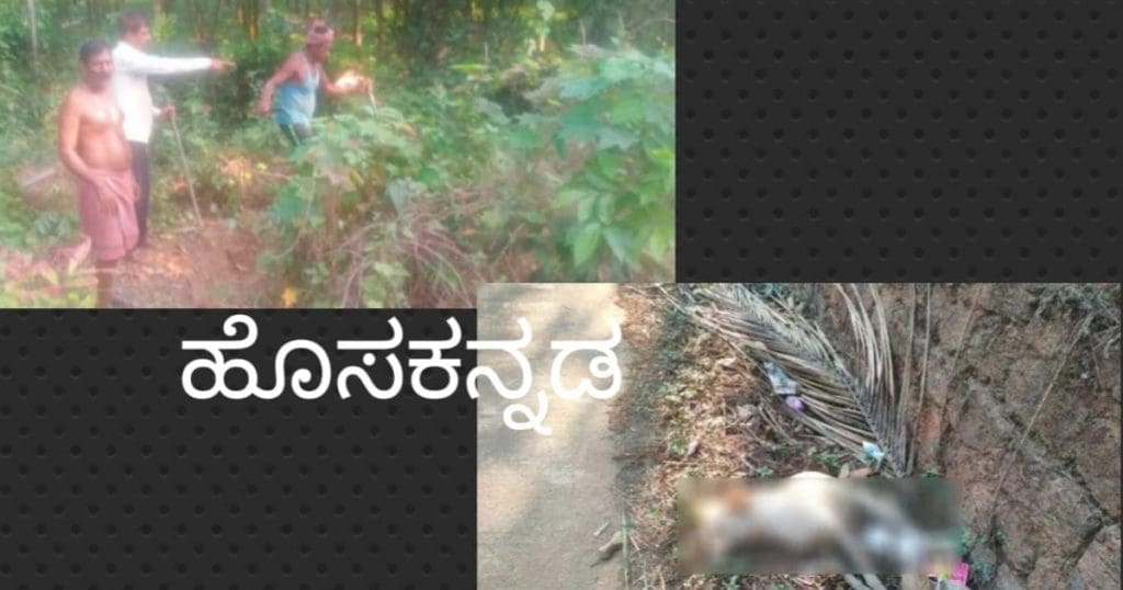 Belthangady