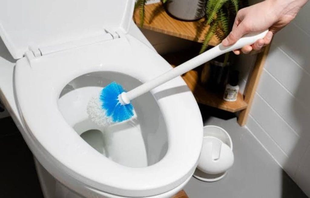 Toilet Cleaning Tips