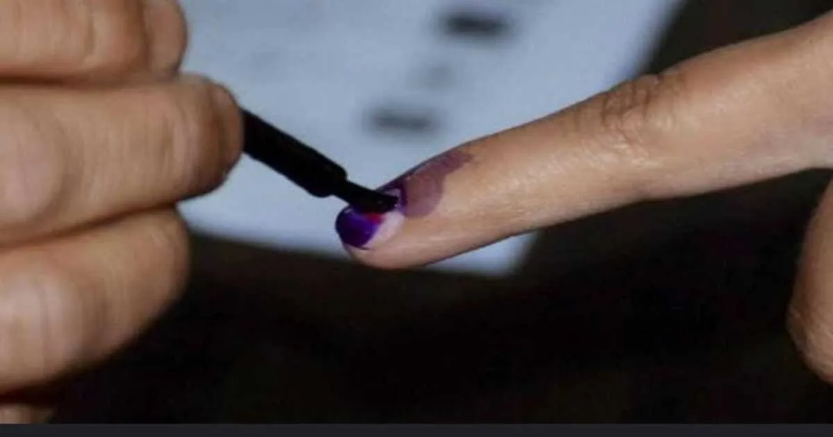 Voting ink