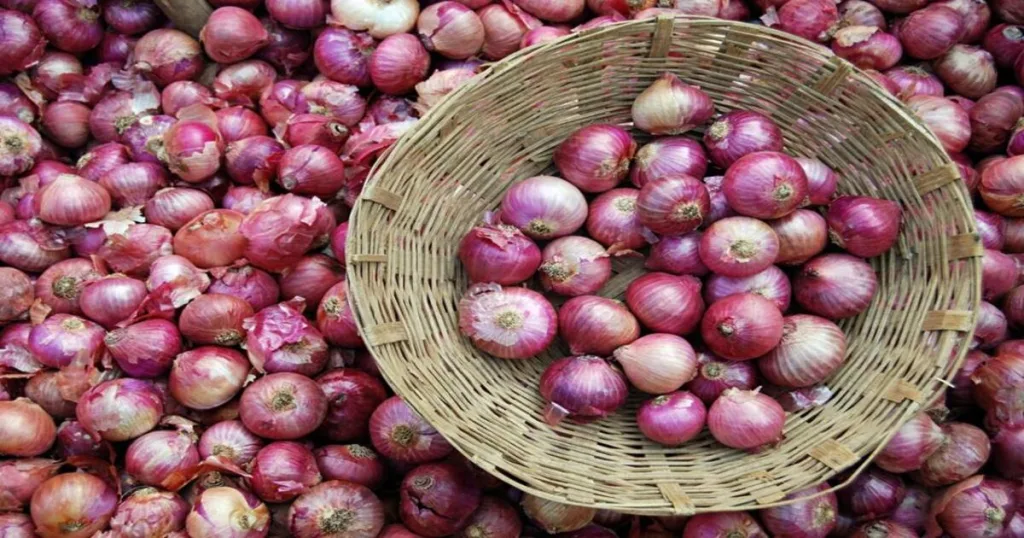 Onion