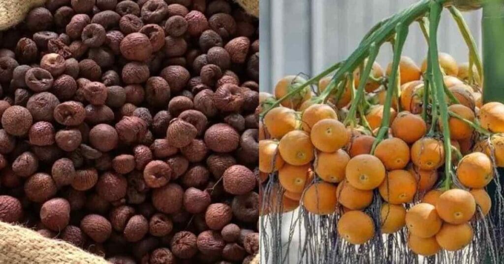 Arecanut