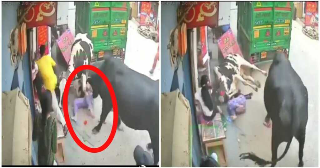Viral Video