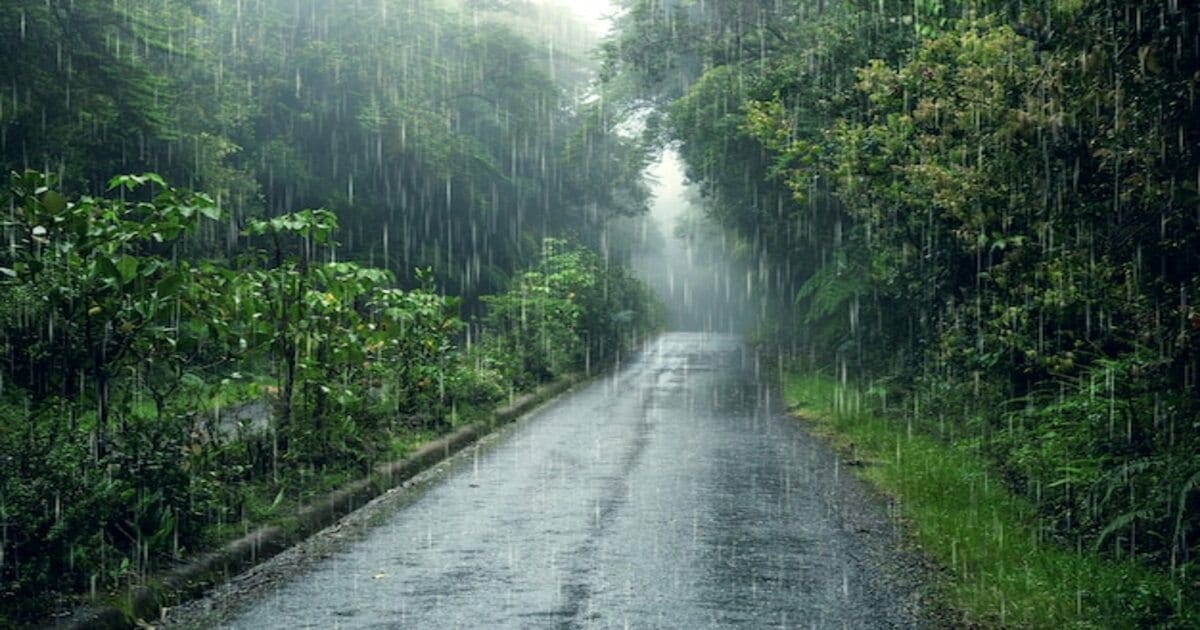 Mansoon Rain