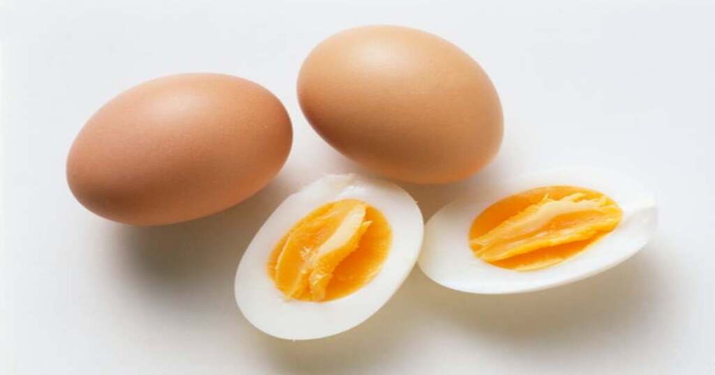 Protein Rich foods