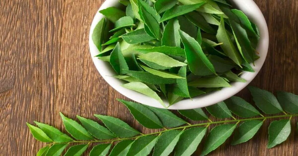 Curry leaves Benefits