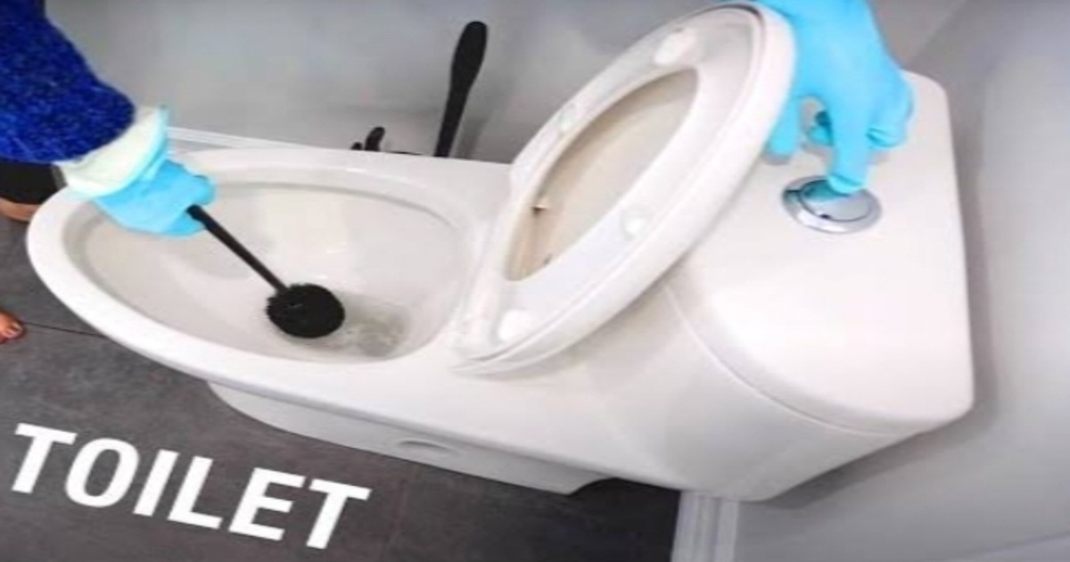 Toilet Cleaning Tips