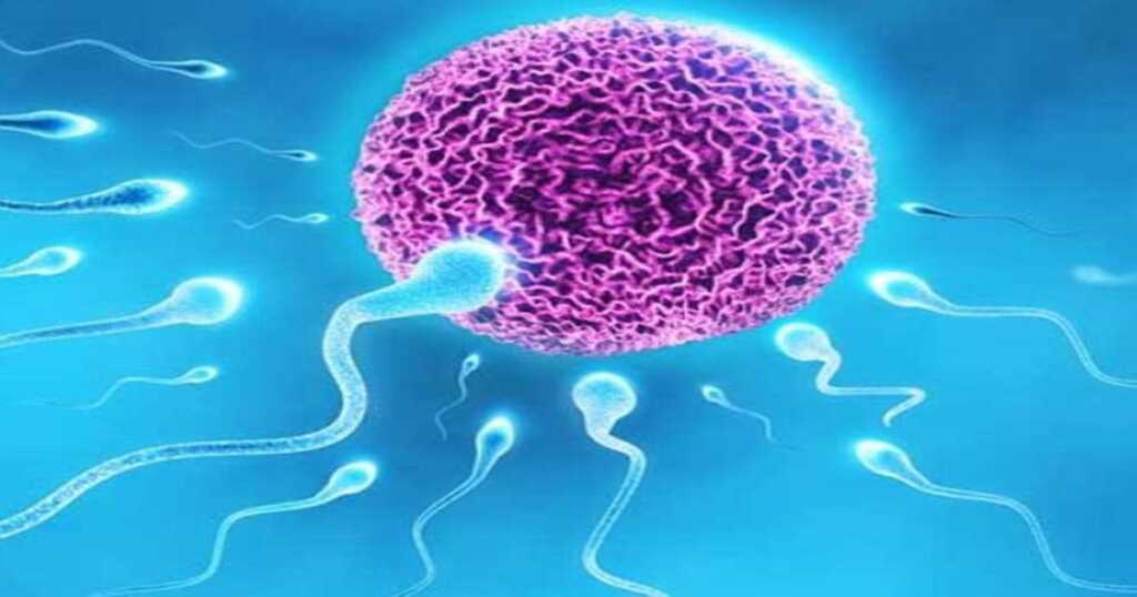 New Male Birth Control Gel