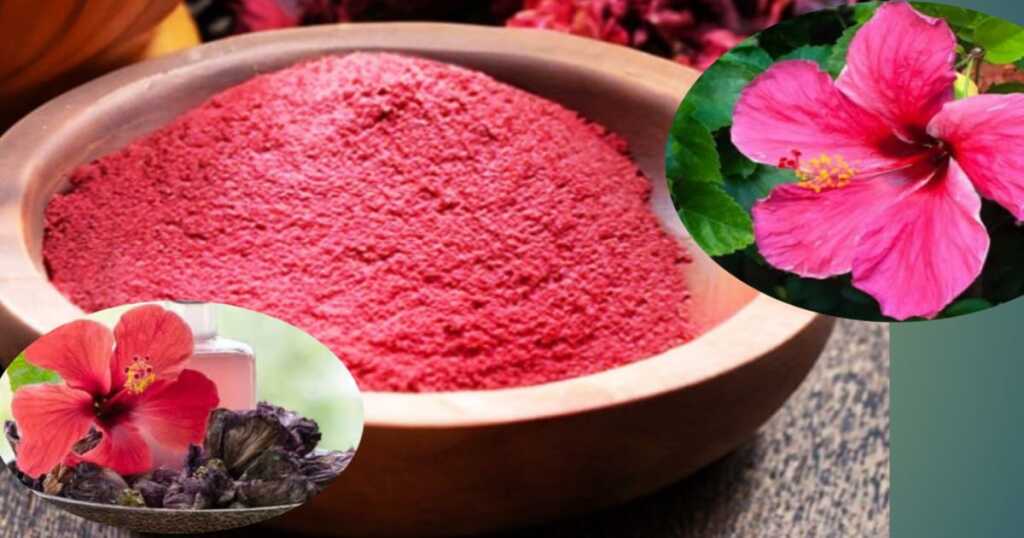 Hibiscus