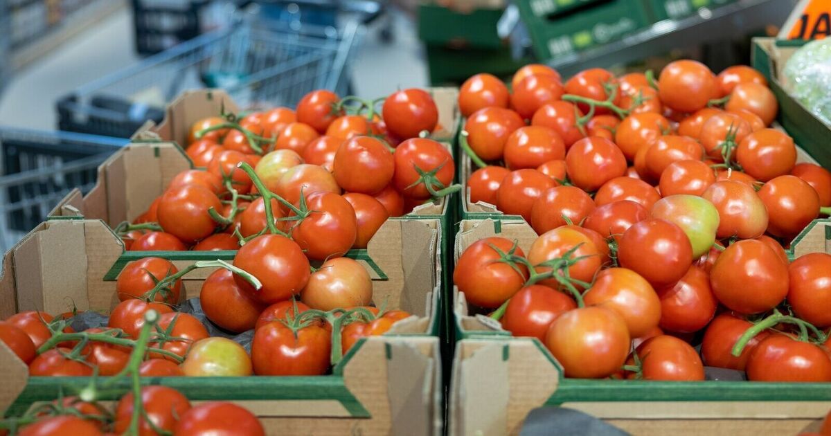 Tomato Price Hike