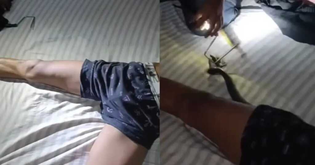 Viral Video