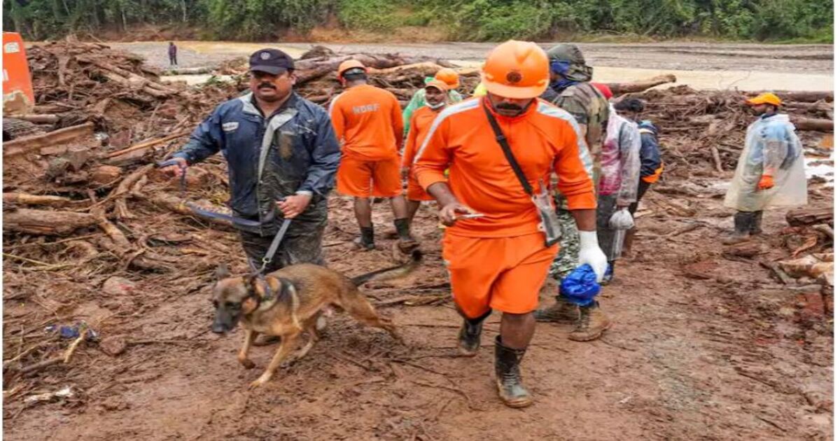 Wayanad Landslide