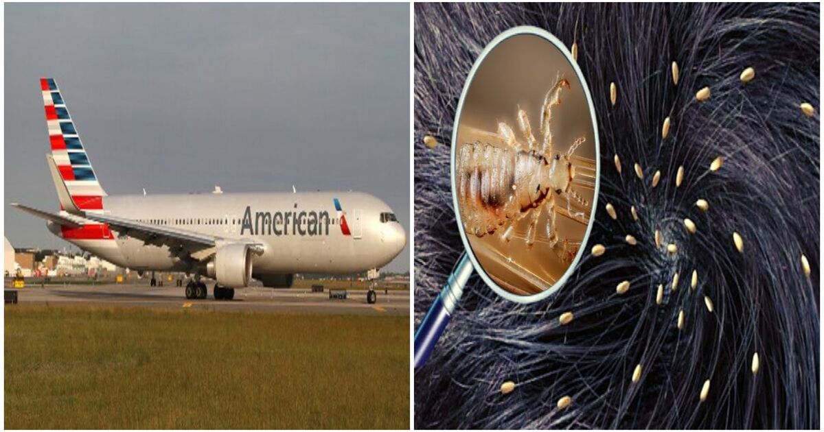 American Airlines