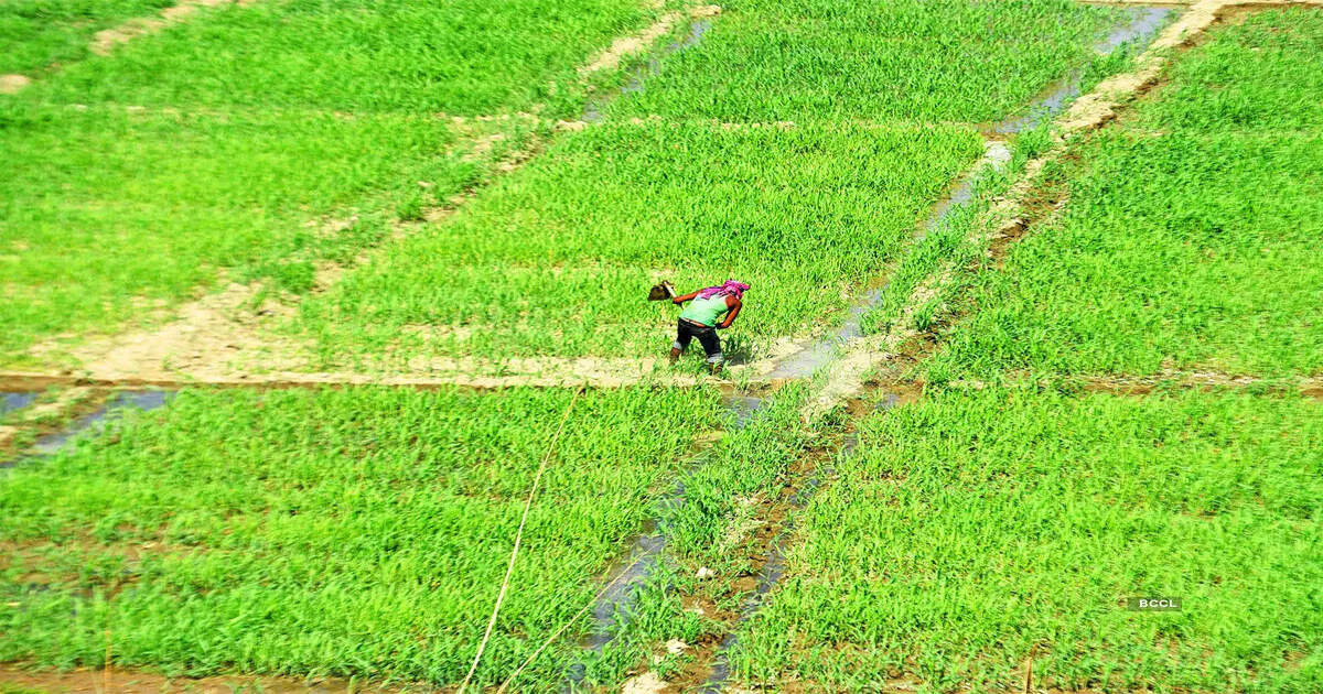 Agricultural Land