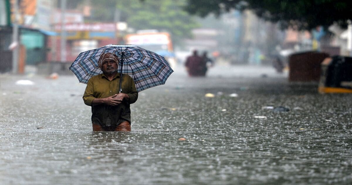 Monsoon Rain