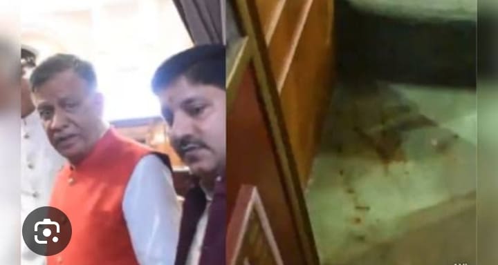 WhatsApp Image 2025-03-06 at 11.46.58 AM