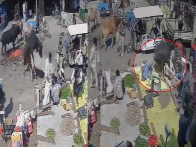 WhatsApp Image 2025-03-07 at 5.08.17 PM