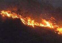 Charmadi Ghat: ಚಾರ್ಮಾಡಿ ಘಾಟ್ ನಲ್ಲಿ ಕಾಡ್ಗಿಚ್ಚು – ಹೊತ್ತಿ ಉರಿದ ಪಶ್ಚಿಮಘಟ್ಟ