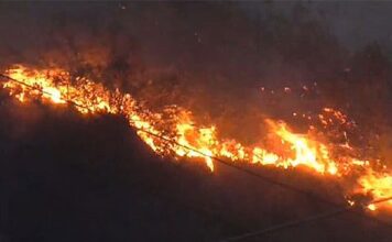 Charmadi Ghat: ಚಾರ್ಮಾಡಿ ಘಾಟ್ ನಲ್ಲಿ ಕಾಡ್ಗಿಚ್ಚು – ಹೊತ್ತಿ ಉರಿದ ಪಶ್ಚಿಮಘಟ್ಟ