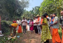 ಕೊಯ್ಯೂರು ಕಾಲು ಸಂಕ ನಿರ್ಮಾಣಕ್ಕೆ ಶ್ರೀ ಹರೀಶ್ ಪೂಂಜಾರವರಿಂದ ಶಿಲಾನ್ಯಾಸ