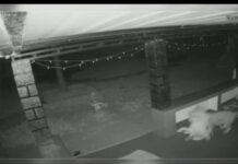 ದಿಡುಪೆ: ಮನೆಯೊಂದರ ಅಂಗಳದಲ್ಲಿ ಚಿರತೆ ಪ್ರತ್ಯಕ್ಷ