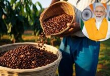 Central Govt : ಕಾಫಿ ಬೆಳೆಗಾರರಿಗೆ ಕೇಂದ್ರ ಸರ್ಕಾರ ಗುಡ್ ನ್ಯೂಸ್!!