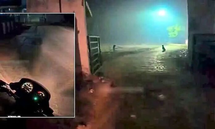 n6994982251770119394696c1eb03d185b5422fa819c38a6600d63d84172144a19cc720c296a214dfff82b1