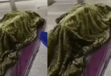 Viral Video : ರೈಲ್ವೆ ನಿಲ್ದಾಣದಲ್ಲಿ ಮಲಗಿದ್ದಲ್ಲೇ ಅಲ್ಲಾಡ್ತಿದ್ದ ಬೆಡ್ಶೀಟ್ – ಎಳೆದು ನೋಡಿದಾಗ ಕಂಡಿದ್ದು ಯುವ ಜೋಡಿ ರಾಸಲೀಲೆ!!